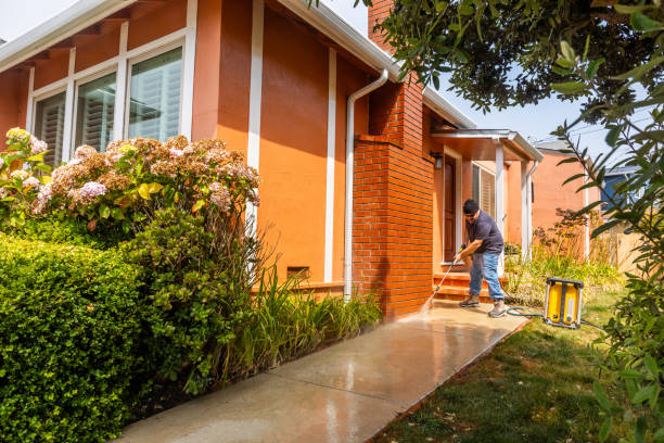 Best Commercial Building Pressure Washing  in Volo, IL