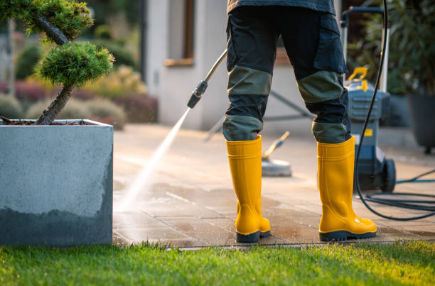 Best Local Pressure Washing Services  in Volo, IL